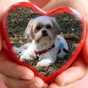 Meet your Posher, Jan